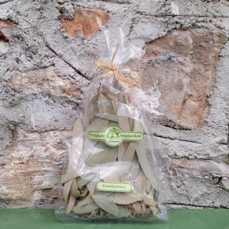 Ευκάλυπτος φύλλα
