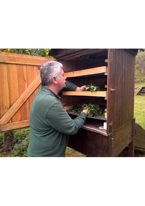 Μελισόχορτο