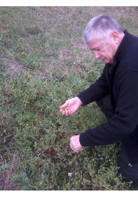 Κεραλοιφή καλεντουλα