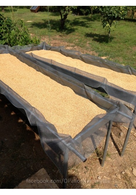 Αλεύρι ολικής χύμα 1 κιλό