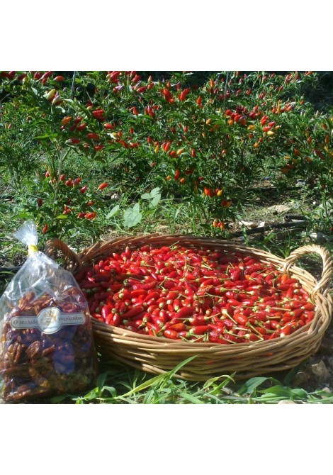 Πιπεριές καυτερές