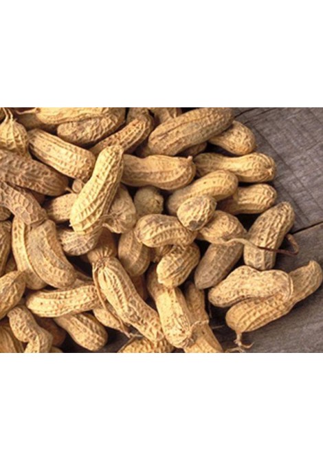 Φυστίκι αράπικο χωρίς αλάτι